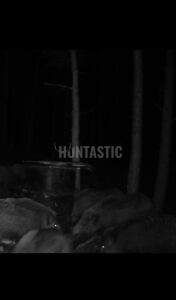 Naháňka 2 dny na Kokořínsku 2026 1