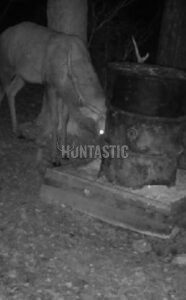 Naháňka 2 dny na Kokořínsku 2026 2