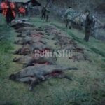 Naháňka 2 dny na Kokořínsku ✅ Naháňka na černou ✅