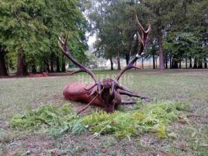 Lov jelena v Srbsku 2025 2