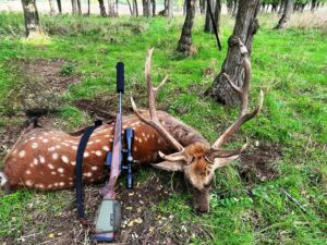 Poplatkový lov sika Dybowského 350 - 399 CIC stříbro 0