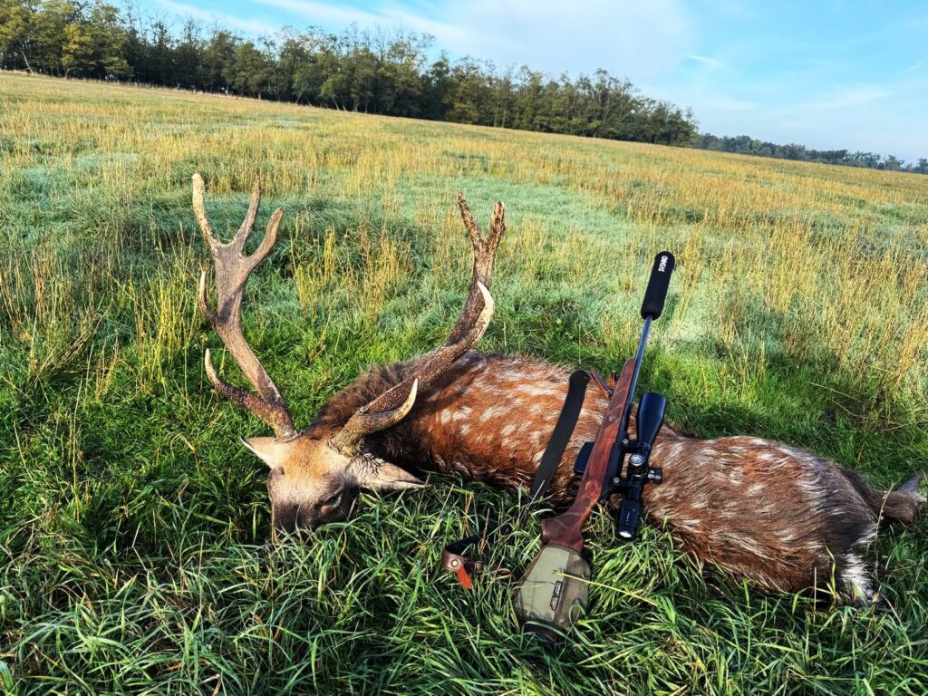 Poplatkový lov sika Dybowského 350 - 399 CIC stříbro