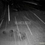 Naháňka Krušné hory 2026 (1)