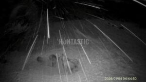 Naháňka v Krušných horách na 3 dny 2026 0