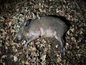 Povolenka na lov honitba Lasvice 2026/2027 3