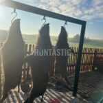 Lov pod Bezdězem (2)