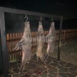 Lov pod Bezdězem (4)