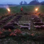 Lov pod Bezdězem (7)