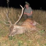 Lov pod Bezdězem (8)