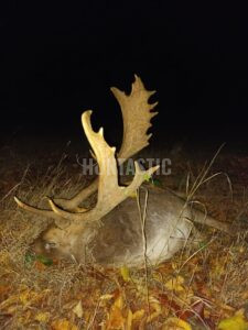 Povolenka na lov na Kokořínsku 2026/2027 1