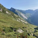 Lov svišťů v Alpách