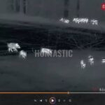 Divočáci honitba Lasvice 2026