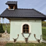 Lov daňků na Šumavě