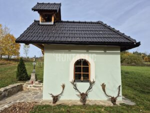 Lov daňka na Šumavě 2026 3