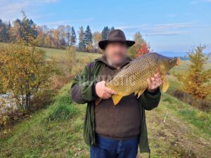 Lov daňka na Šumavě 2026 2