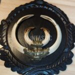 Lov v Chorvatsku kňouři