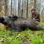 Lov kňoura v Chorvatsku ✅ Lovecký balíček v Chorvatsku ✅