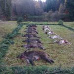 Naháňka tři dny 2025