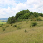 Honitba Tetín-Jarov