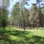 Obora Ploužnice (26)