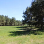 Obora Ploužnice (32)