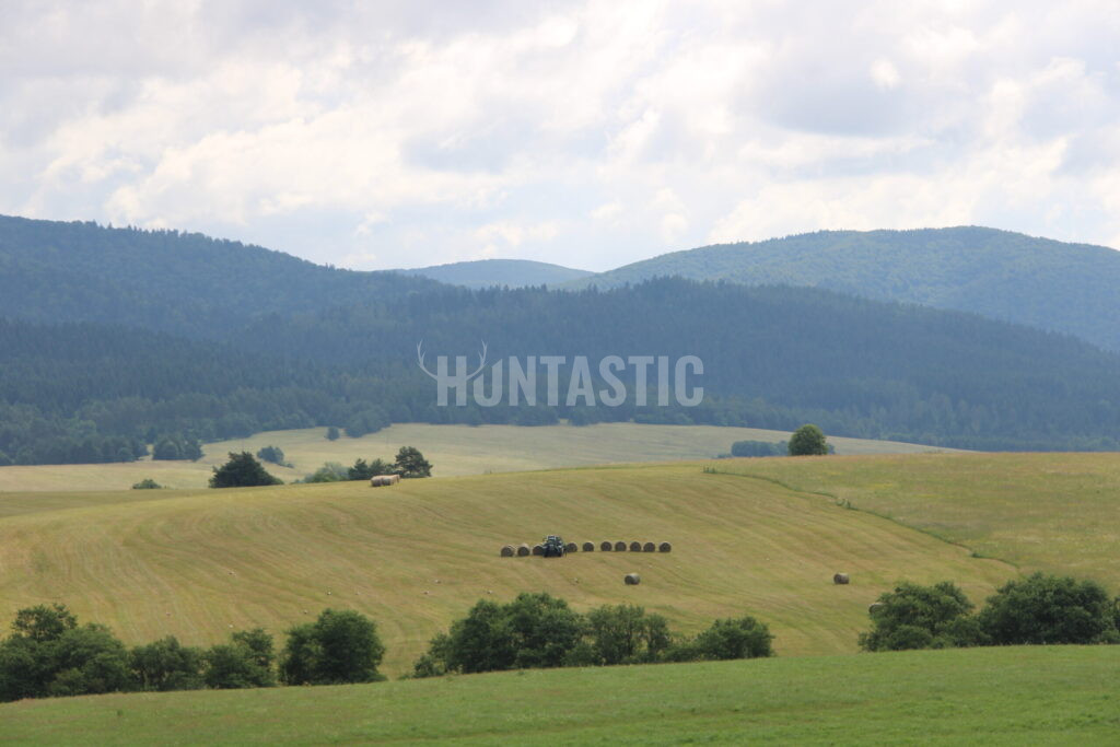 Lovecká oblast polské Biesczady ✅ Lov jelenů v Polsku ✅