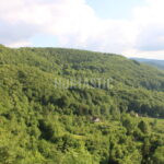 Bosna a Hercegovina (1)
