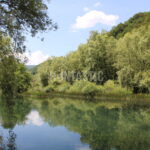 Bosna a Hercegovina (12)